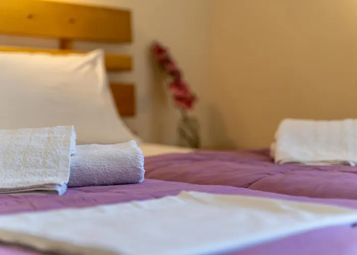 Hercules Hotel Ancient Olympia